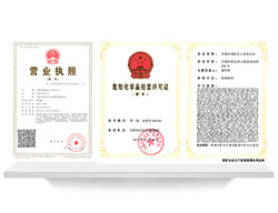 企業(yè)資質(zhì)